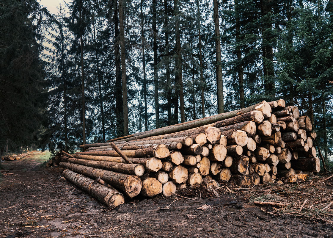 Ascenso Forestry Tyres